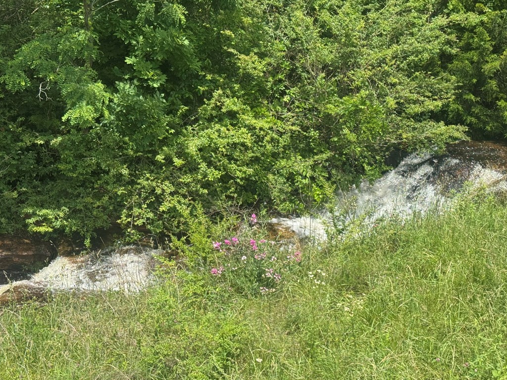 0 Vandy Circle Sparta, TN 38583 - Photo 3 of 7