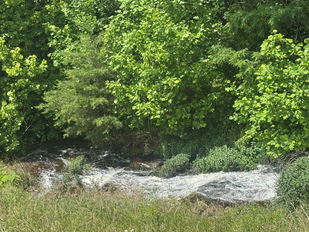 0 Vandy Circle Sparta, TN 38583 - Photo 4 of 7