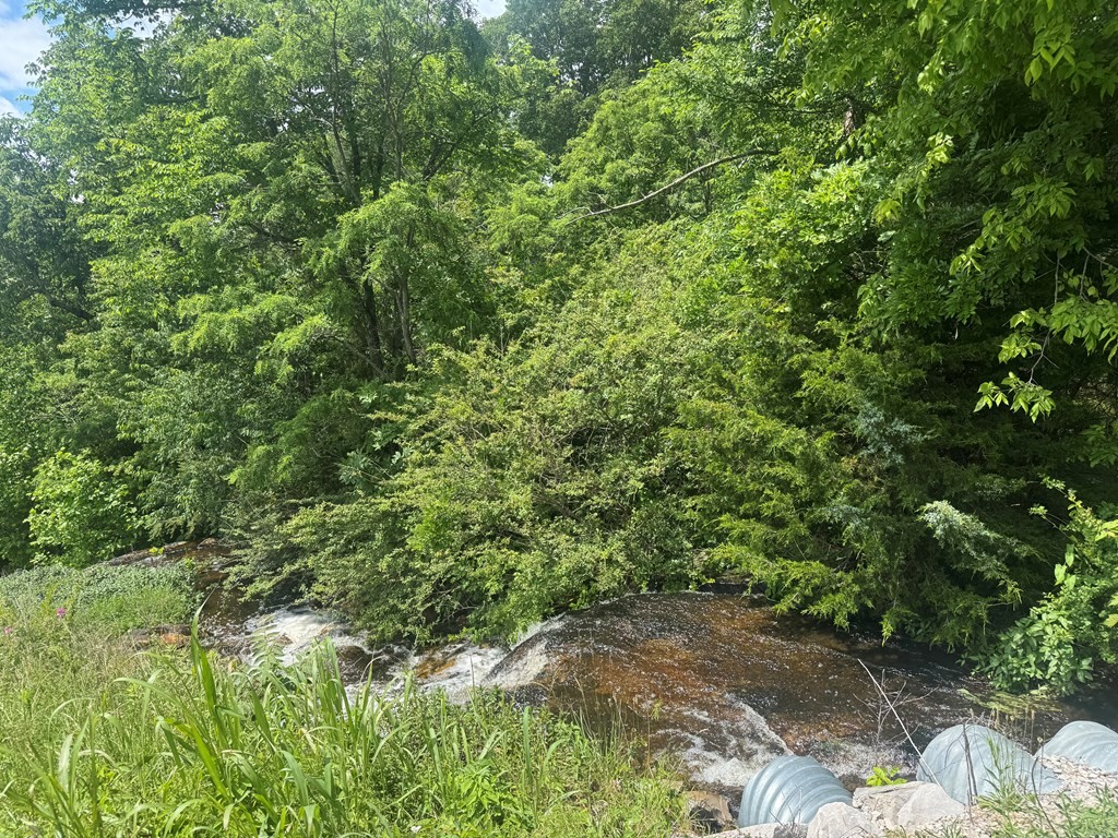 0 Vandy Circle Sparta, TN 38583 - Photo 5 of 7