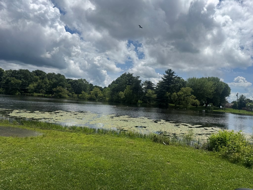 0 Vandy Circle Sparta, TN 38583 - Photo 6 of 7