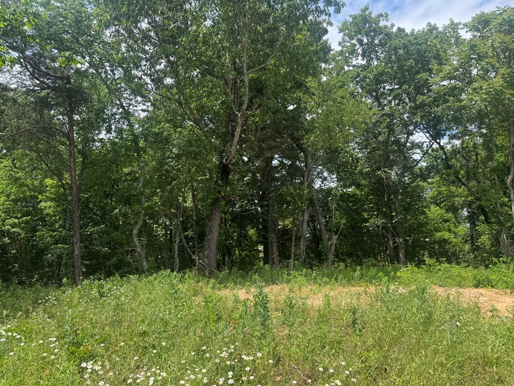 0 Vandy Circle Sparta, TN 38583 - Photo 7 of 7