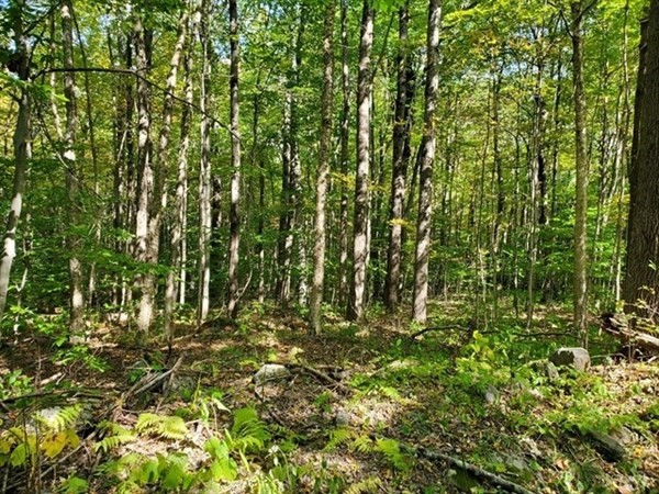 1 Cole Road Barre, MA 01005 - Photo 1 of 1