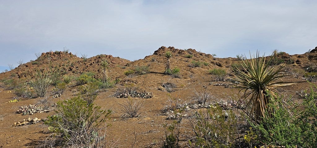 501 Crows Peak Road Alpine, TX 79830 - Photo 45 of 64 Gallery Image 45
