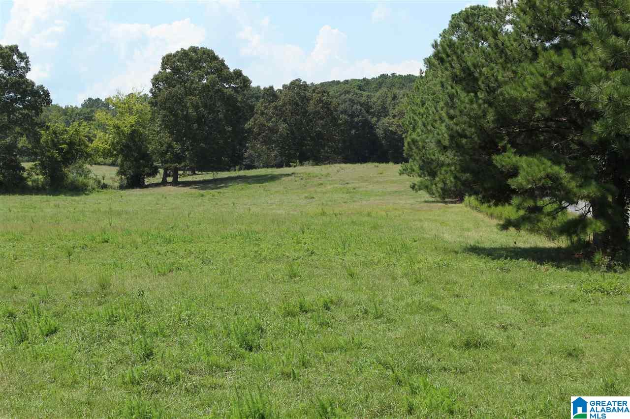 2020 Church Road, Unit 1 Pell City, AL 35128 - Photo 3 of 6