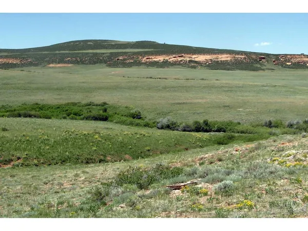 a view of a field with an ocean