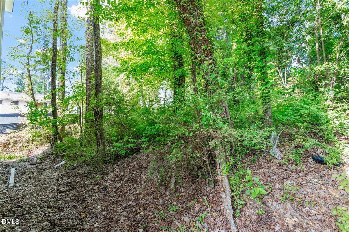 1408 South Street Durham, NC 27707 - Photo 5 of 37 a view of forest