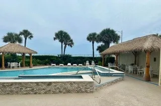a view of a park with plants and palm tree