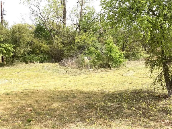 a view of a yard with large trees