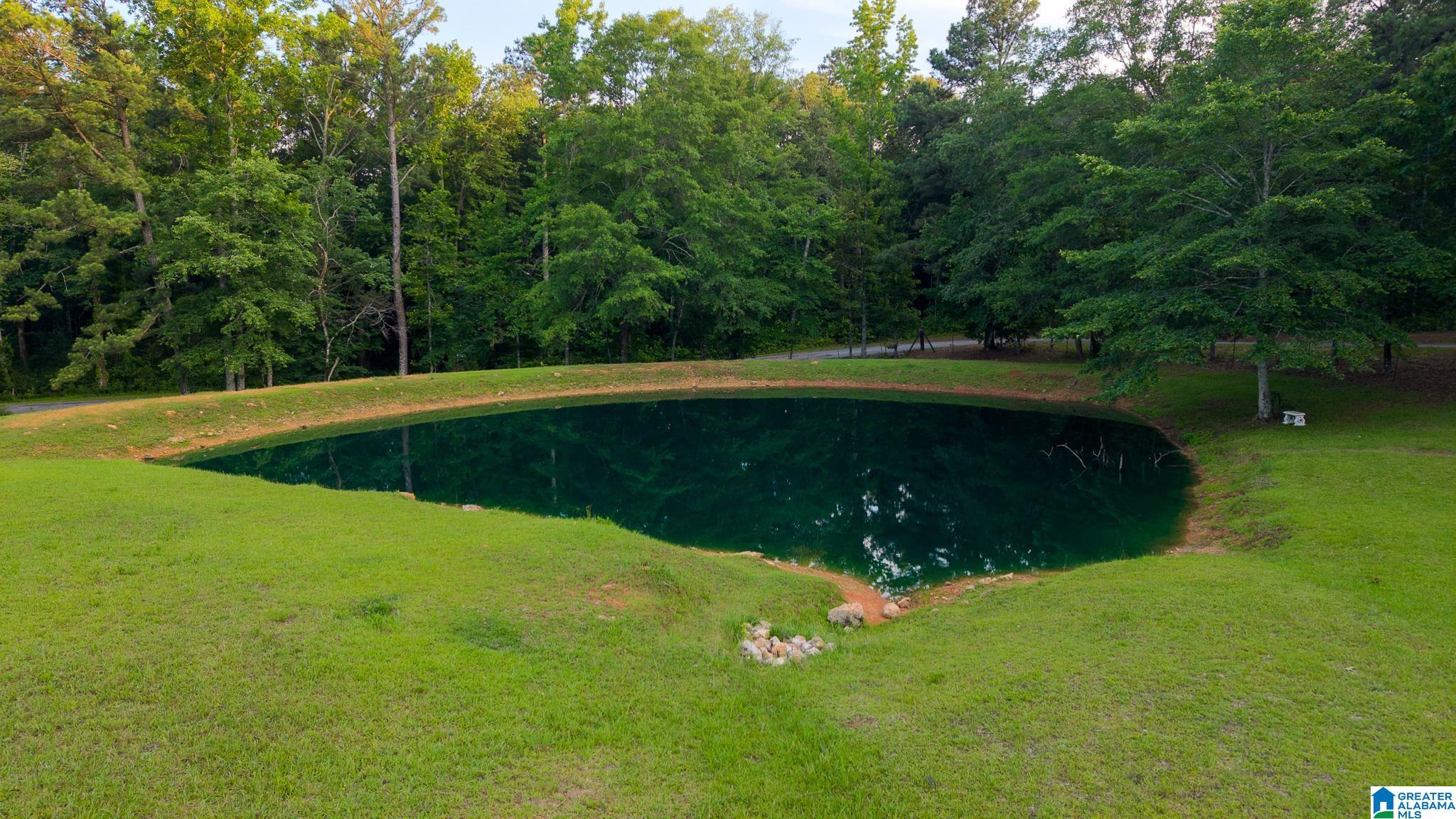 271 Little Pond Road Pell City, AL 35128 - Photo 69 of 86