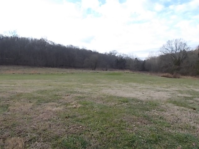 641 Rogues Fork Road Bethpage, TN 37022 - Photo 23 of 29 Gallery Image 23
