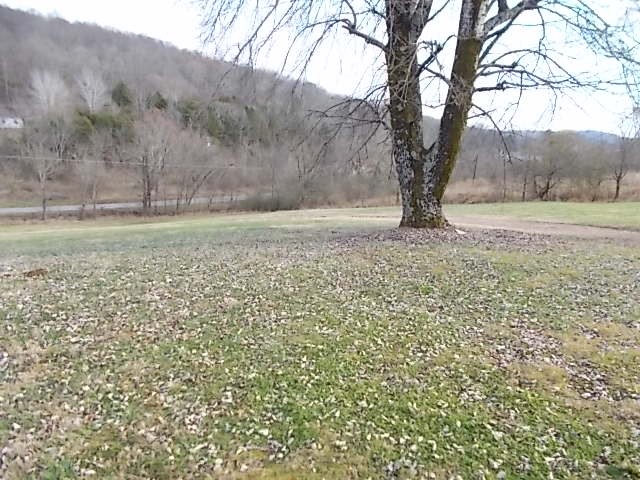 641 Rogues Fork Road Bethpage, TN 37022 - Photo 29 of 29 Gallery Image 29