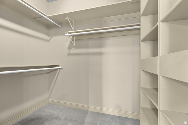 389 North Main Street St. George, UT 84770 - Photo 18 of 44 Walk in closet with light colored carpet