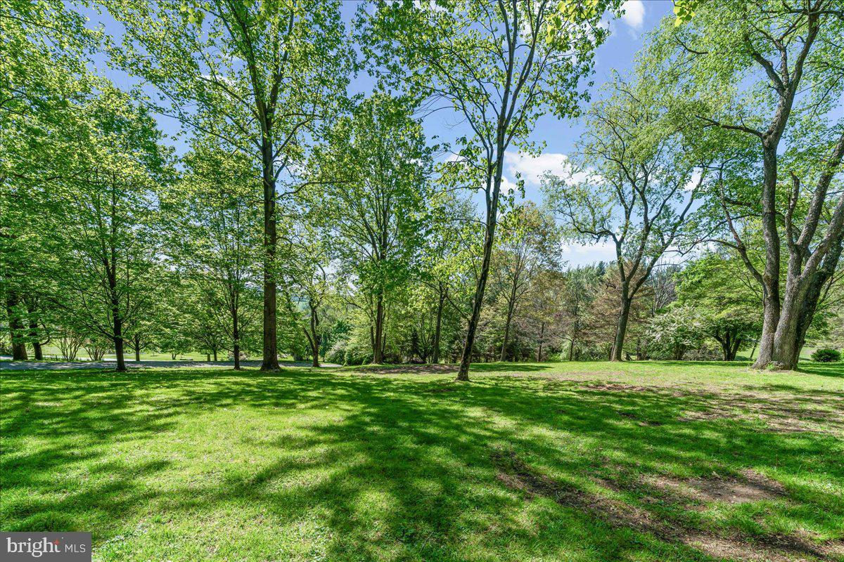 Lush green oasis under sunny skies.