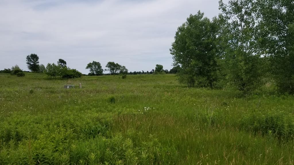 7162 Ida Red Road Egg Harbor, WI 54209 - Photo 4 of 14