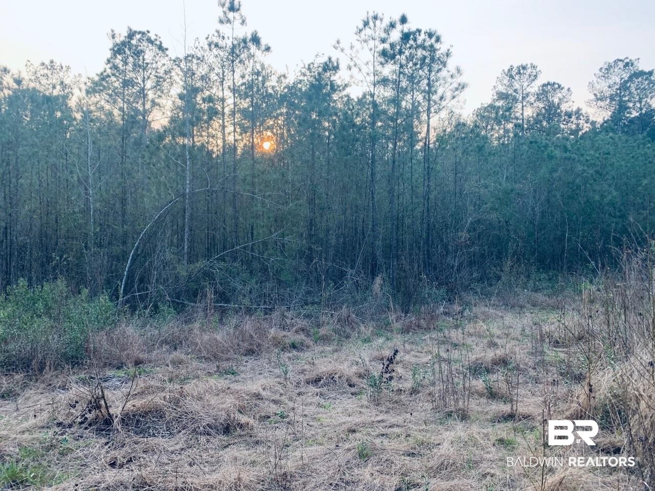 23180 Lonnie Hadley Road Perdido, AL 36562 - Photo 4 of 11 Gallery Image 4
