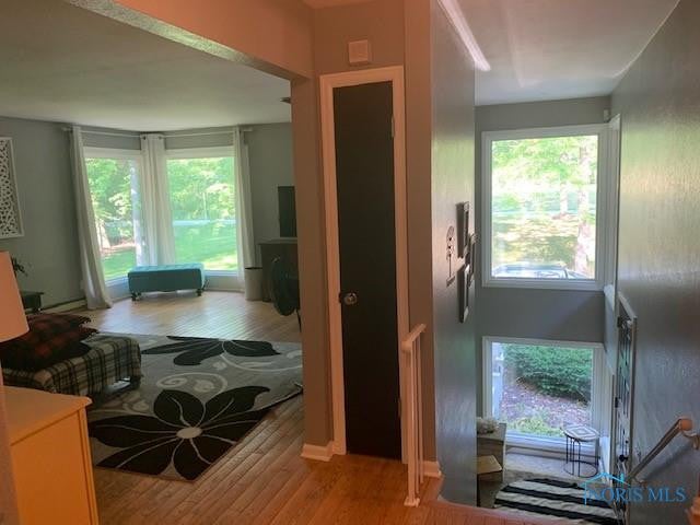 2700 Wilkins Road Swanton, OH 43558 - Photo 12 of 50 Gallery Image 12