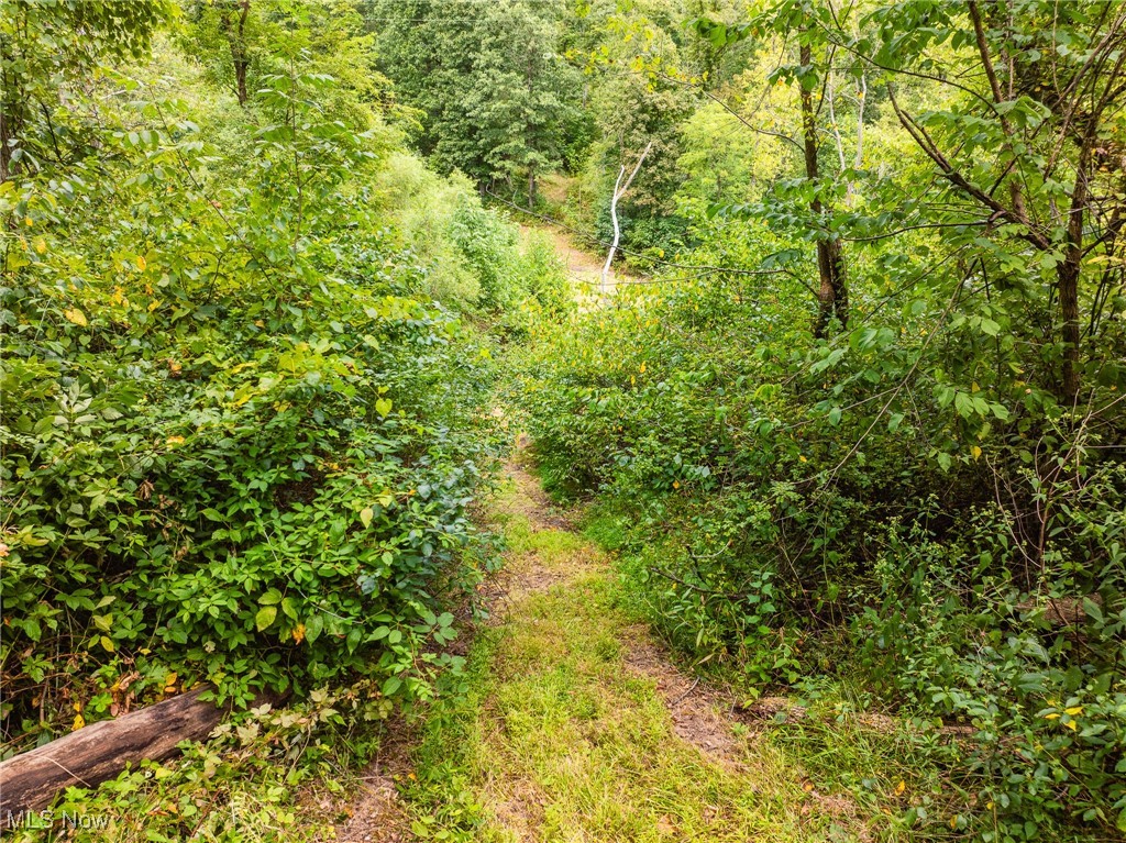 Tunnel Hill Road Dennison, OH 44621 - Photo 20 of 50