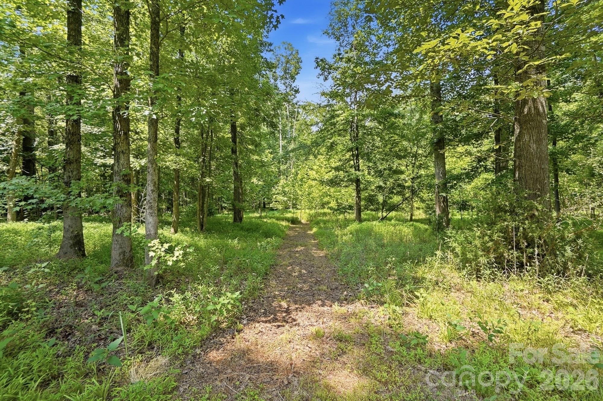 9151 Vagabond Road Charlotte, NC 28227 - Photo 45 of 48