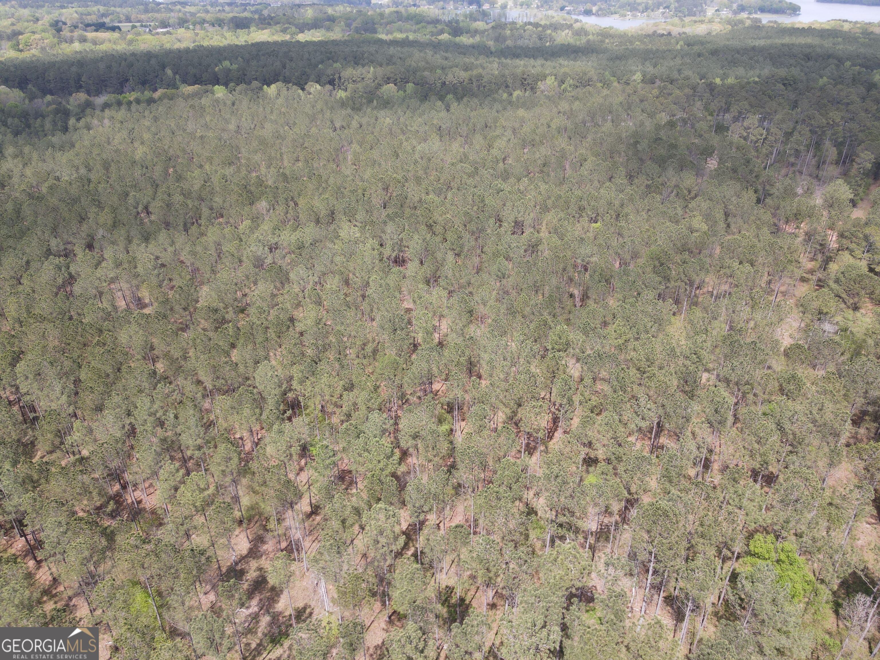 0 Parks Mill Lane Buckhead, GA 30625 - Photo 12 of 22 a close up of a white marble wall