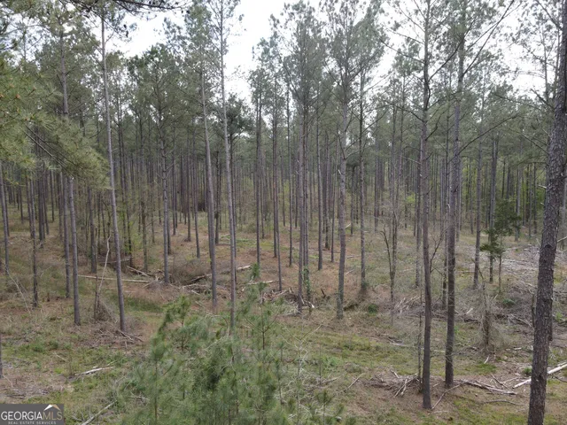 a view of outdoor space and green space
