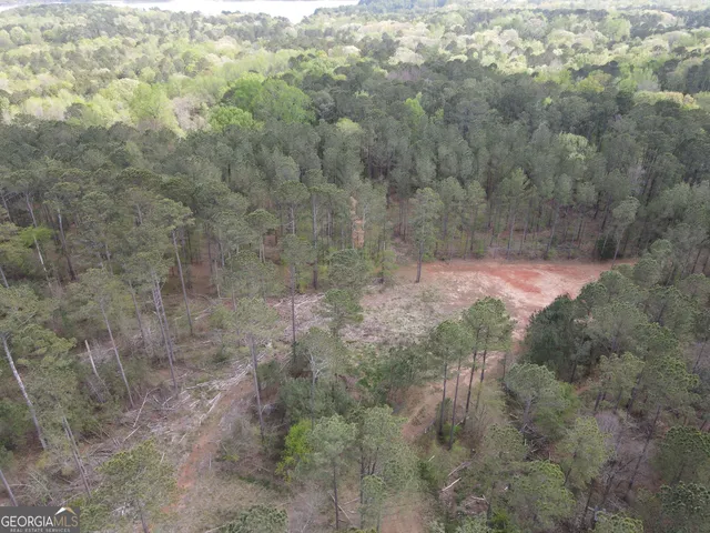 a view of a dry yard