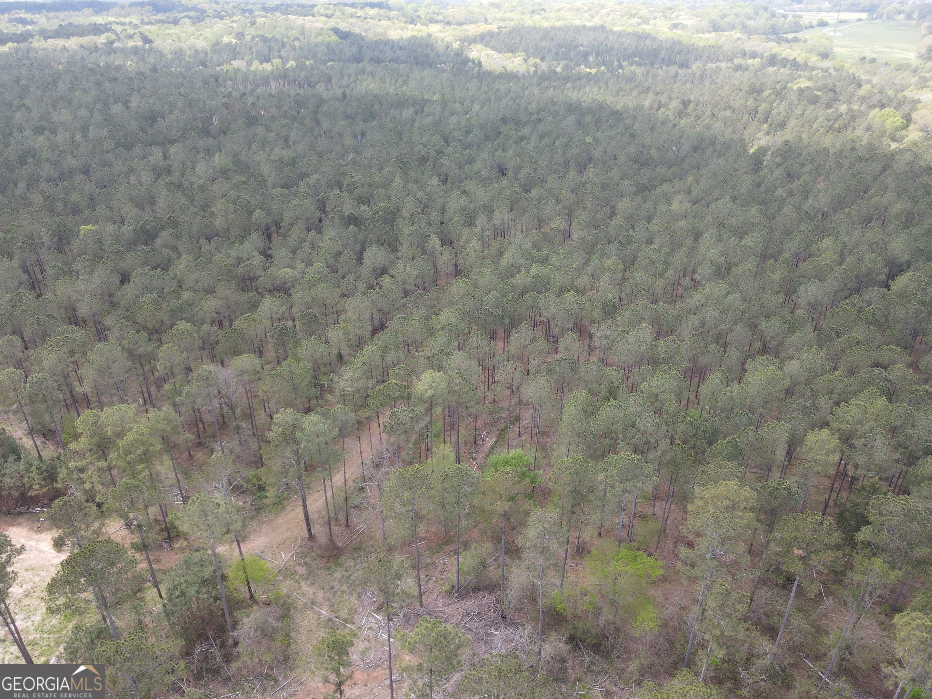 0 Parks Mill Lane Buckhead, GA 30625 - Photo 16 of 22 a view of a dry yard