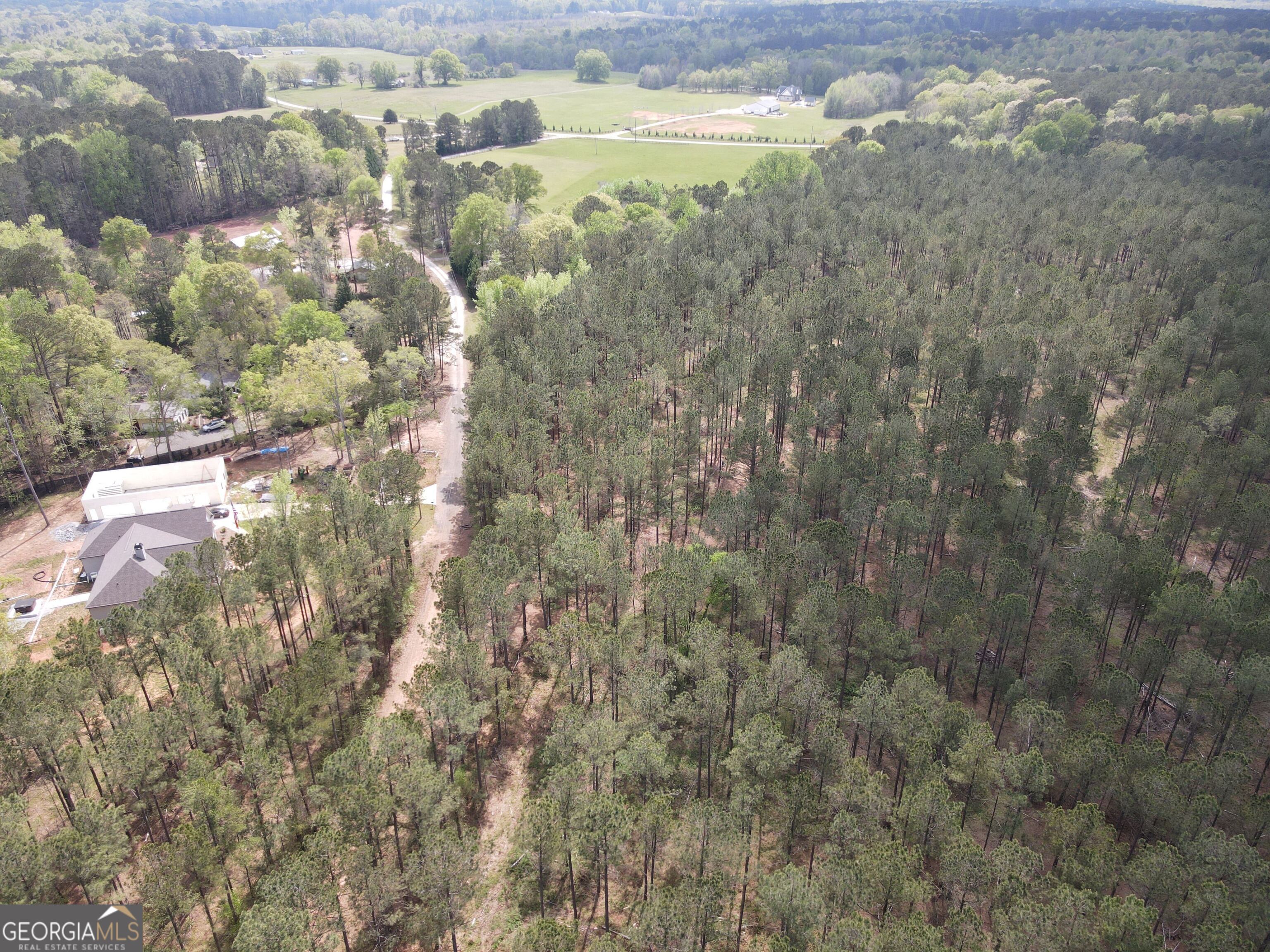 0 Parks Mill Lane Buckhead, GA 30625 - Photo 17 of 22 a close up of a plant in a kitchen