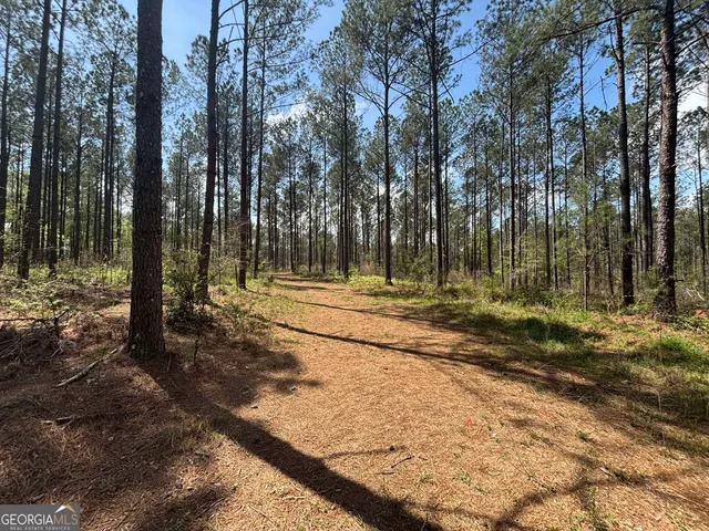 a view of park and trees