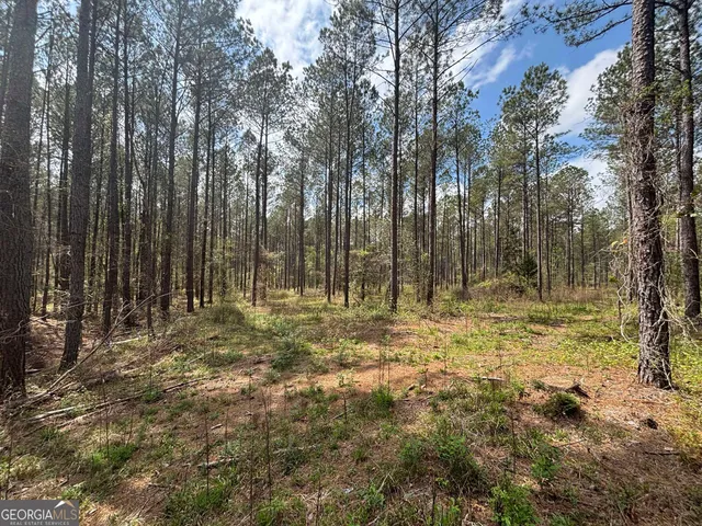 a view of outdoor space with trees