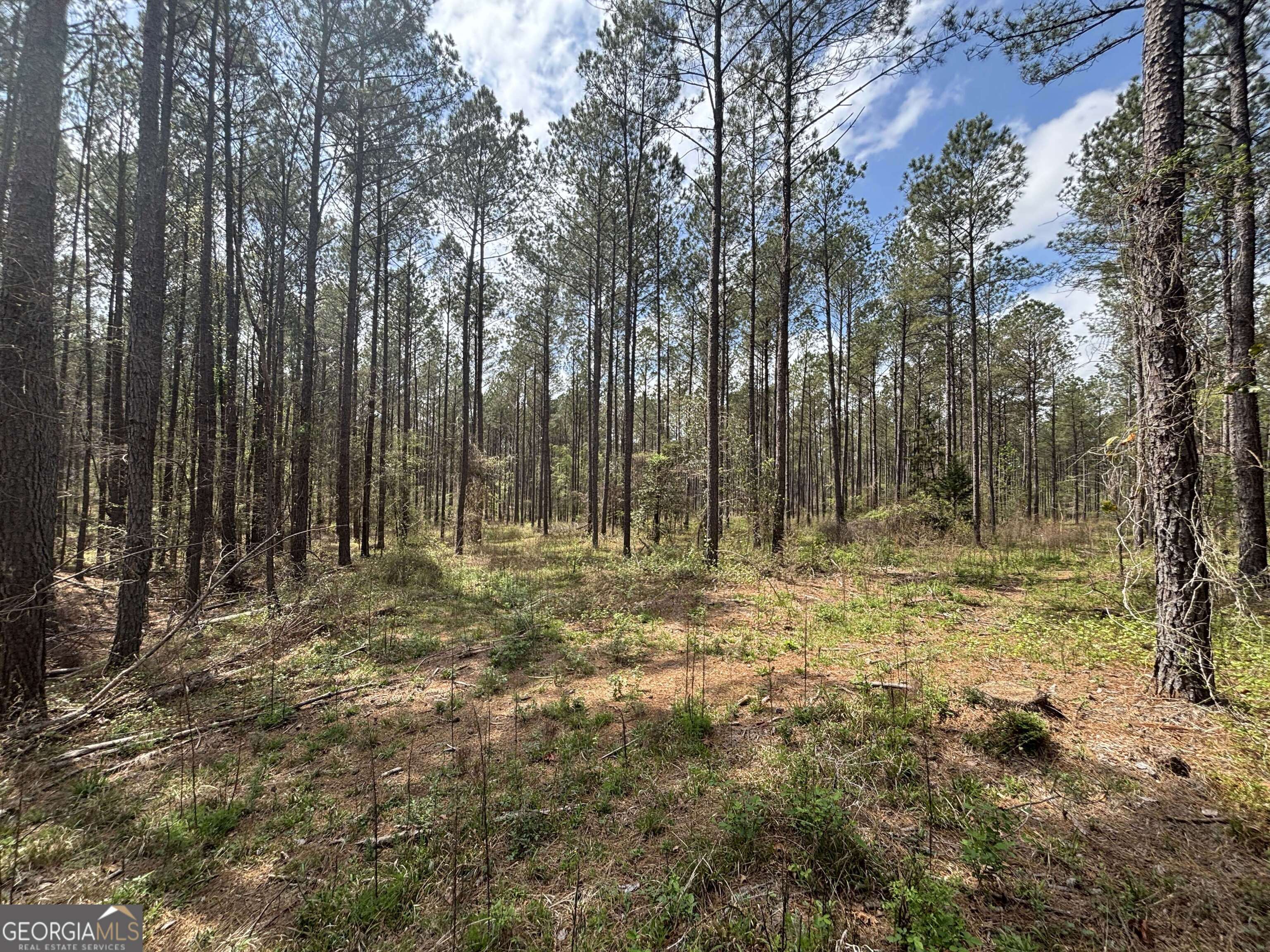 0 Parks Mill Lane Buckhead, GA 30625 - Photo 2 of 22 a view of outdoor space with trees