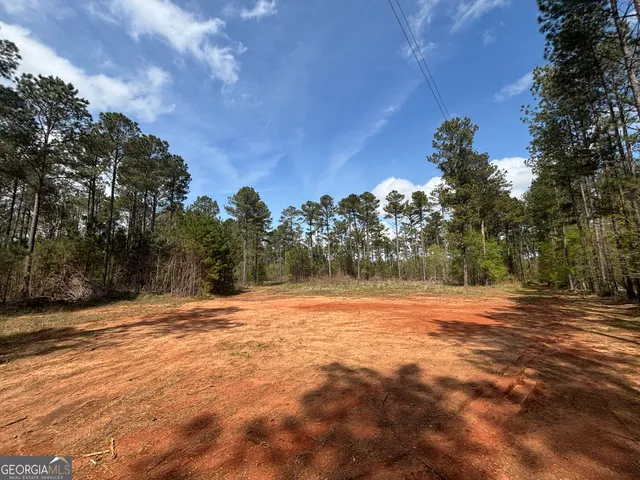 a view of dirt yard with large trees