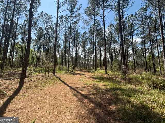 a view of a yard with trees