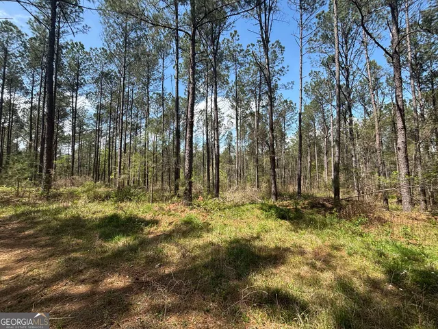 a view of trees and covered with trees