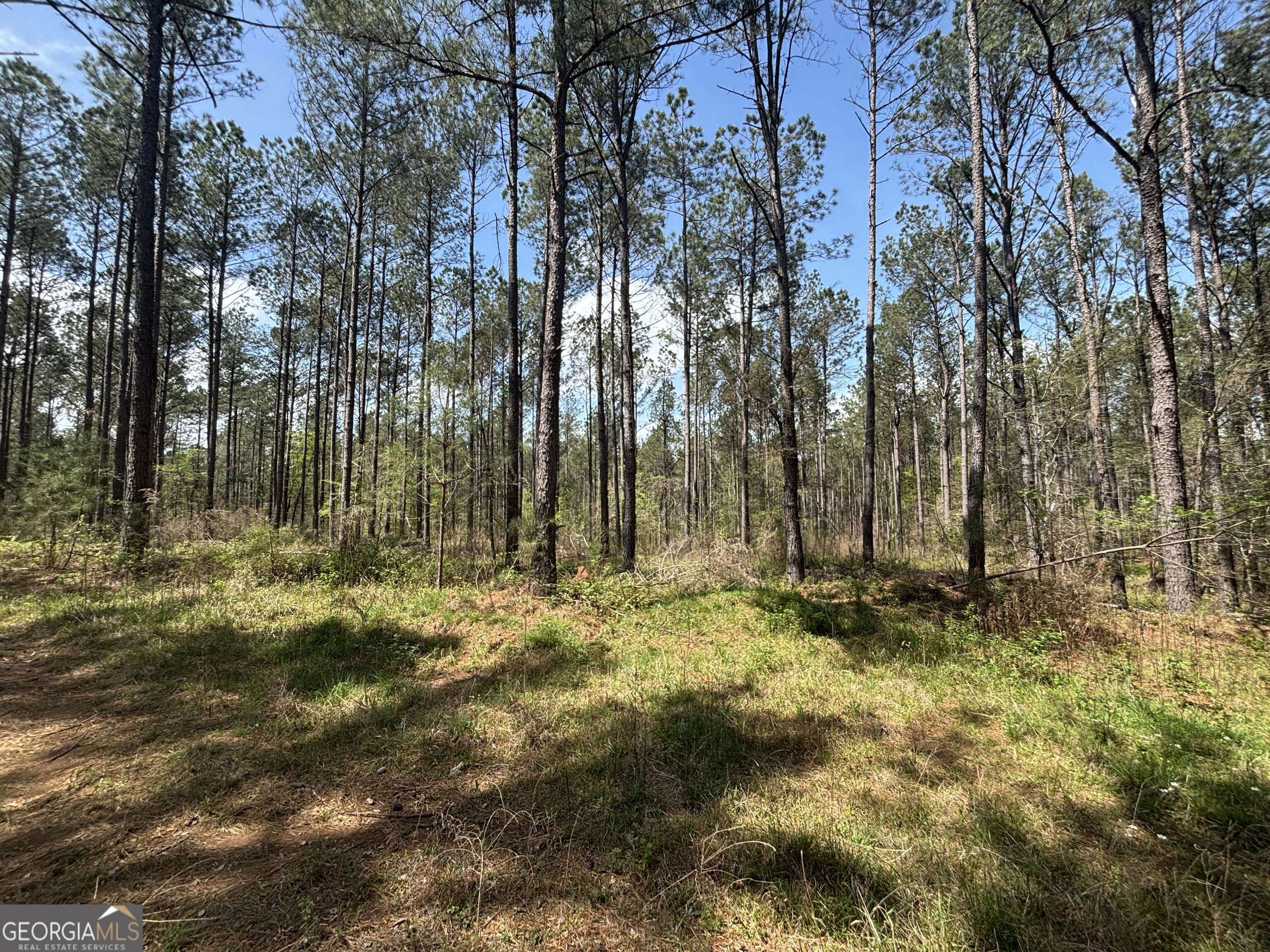 0 Parks Mill Lane Buckhead, GA 30625 - Photo 5 of 22 a view of trees and covered with trees
