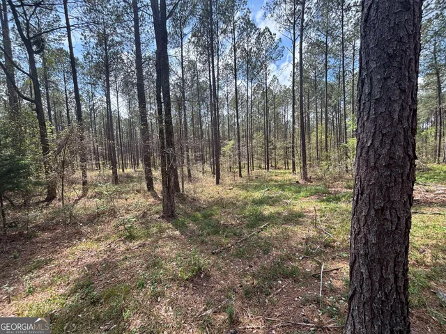 a view of outdoor space with lots of trees