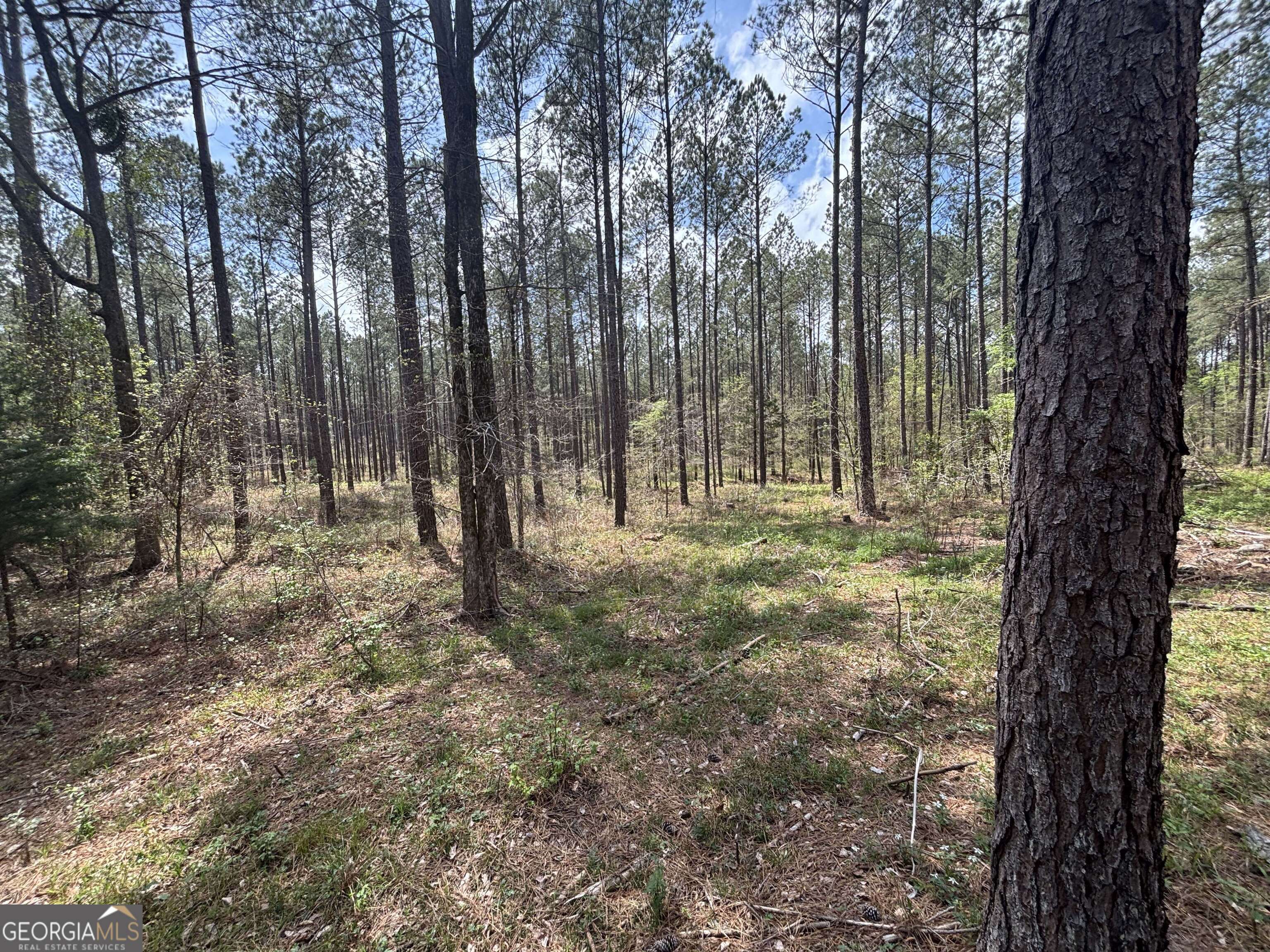 0 Parks Mill Lane Buckhead, GA 30625 - Photo 6 of 22 a view of outdoor space with lots of trees