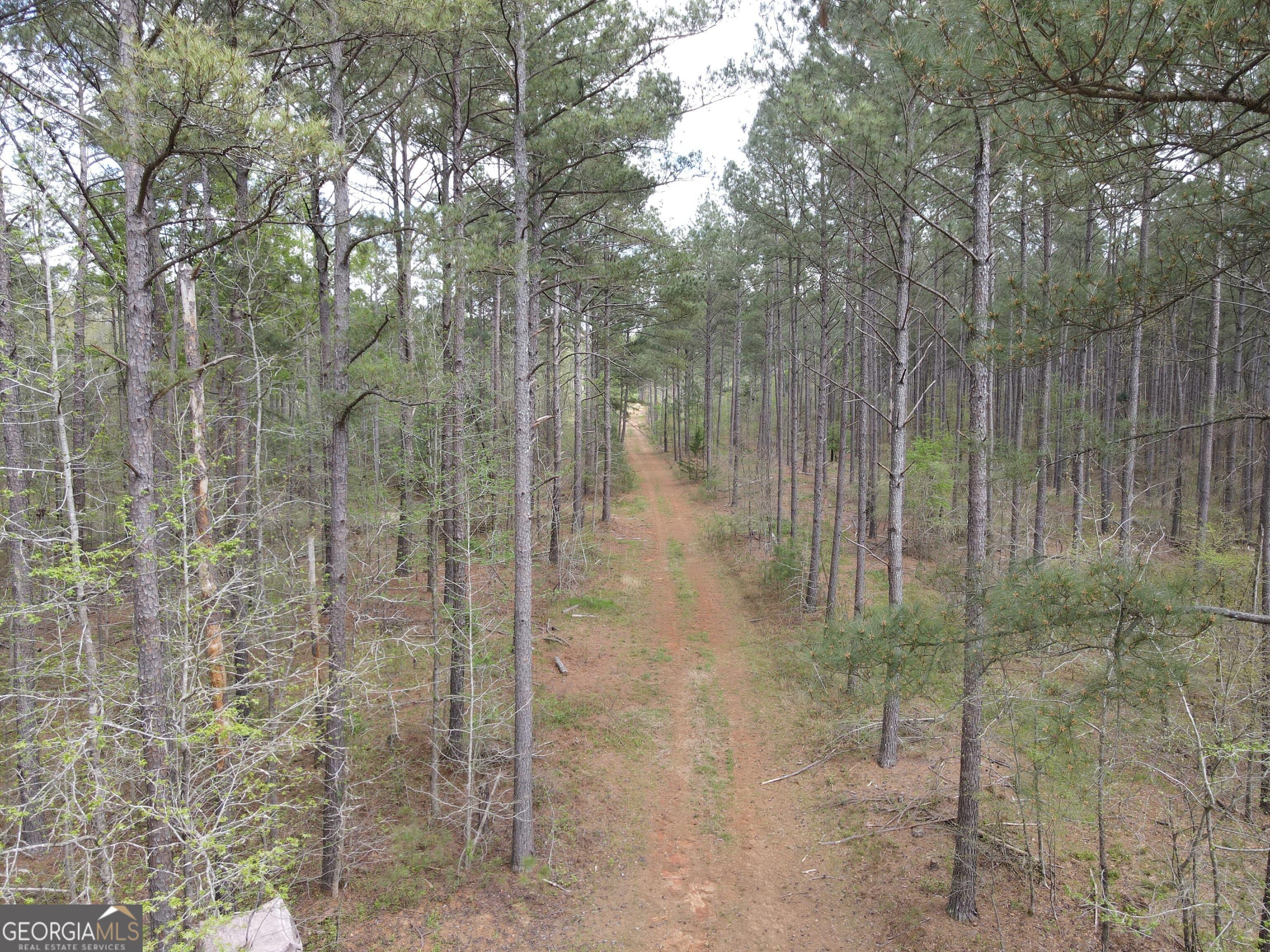 0 Parks Mill Lane Buckhead, GA 30625 - Photo 7 of 22 a bathroom with a shower