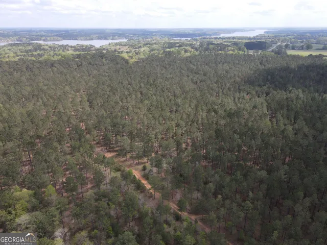 a view of a city with lush green forest