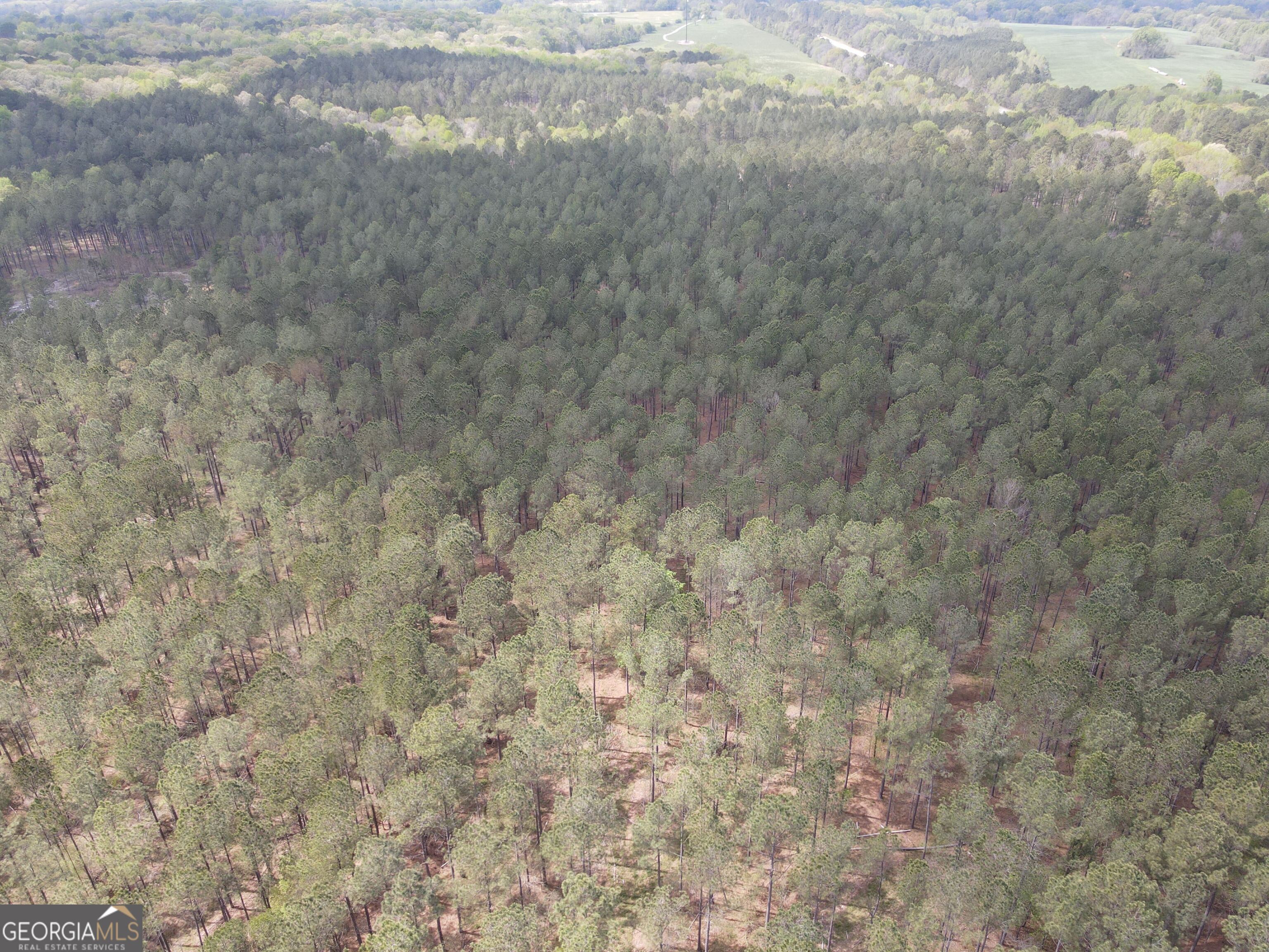 0 Parks Mill Lane Buckhead, GA 30625 - Photo 9 of 22 a close up of a white marble wall