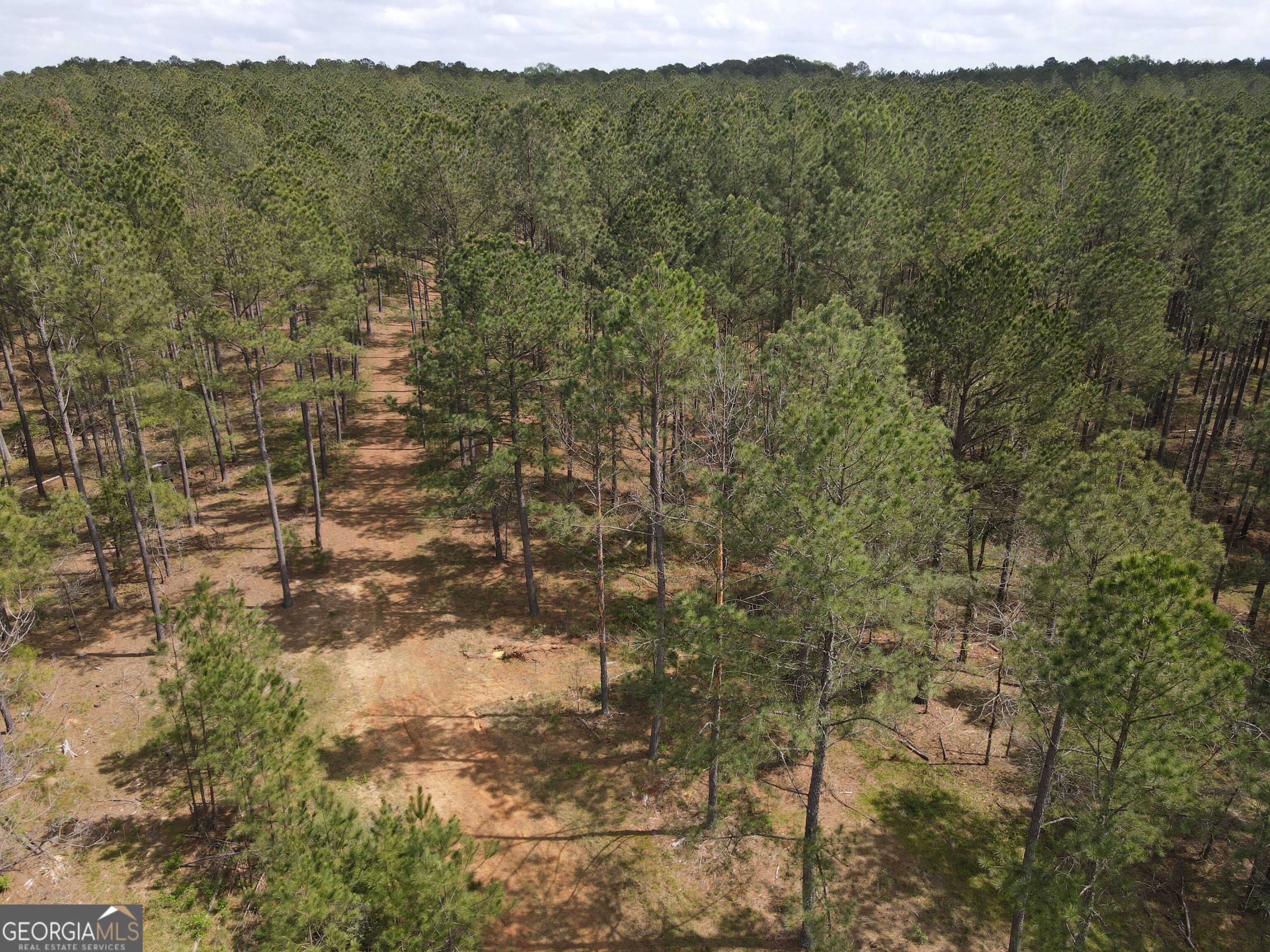 0 Parks Mill Lane Buckhead, GA 30625 - Photo 10 of 22 a view of a yard with an outdoor space