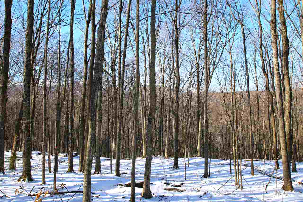 765 Clark Road Waterville, VT 05492 - Photo 20 of 40