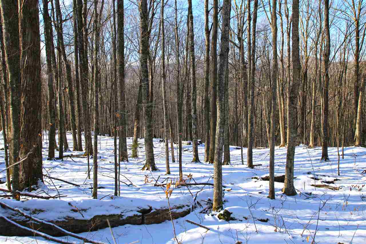 765 Clark Road Waterville, VT 05492 - Photo 21 of 40