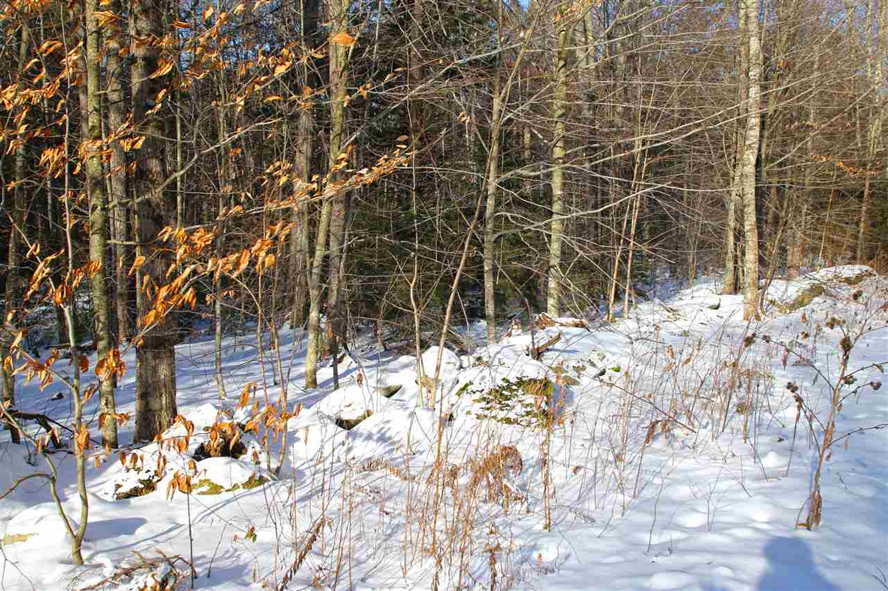 765 Clark Road Waterville, VT 05492 - Photo 33 of 40