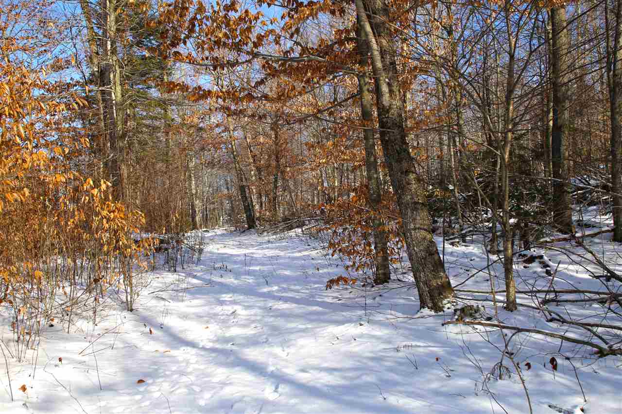 765 Clark Road Waterville, VT 05492 - Photo 10 of 40