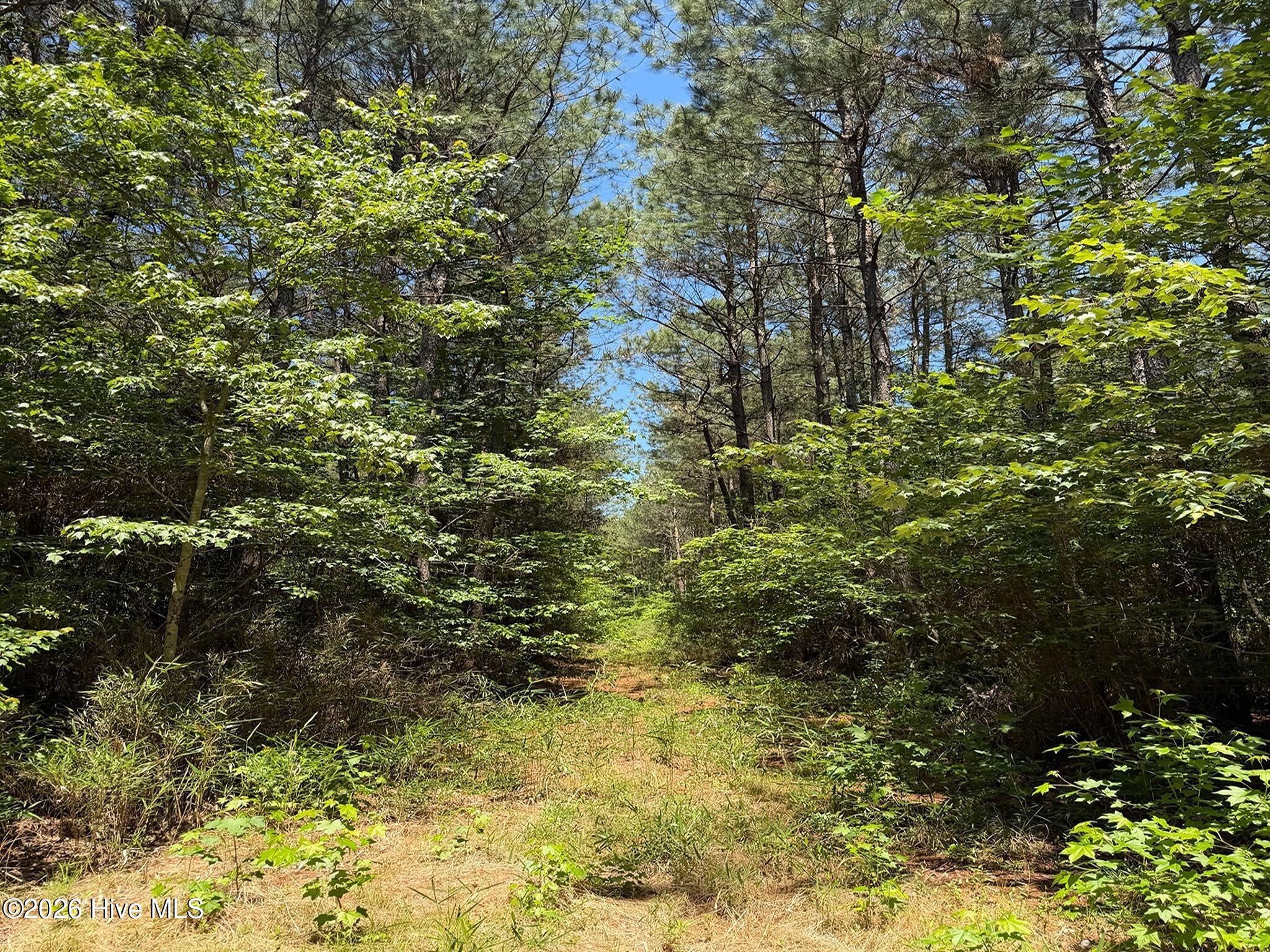 0 Tartt's Mill Road Wilson, NC 27893 - Photo 22 of 23 IMG_2583