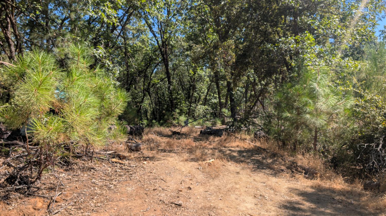 0 South Manzanita Hills Road Colfax, CA 95713 - Photo 14 of 15
