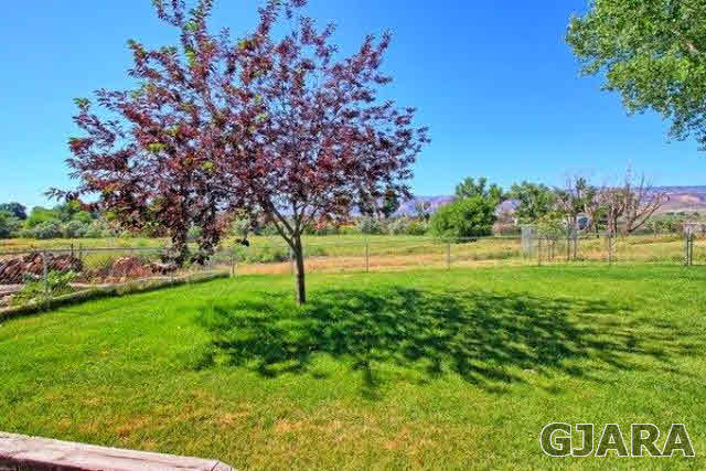 1681 L Road Fruita, CO 81521 - Photo 8 of 9 a view of field with trees in the background