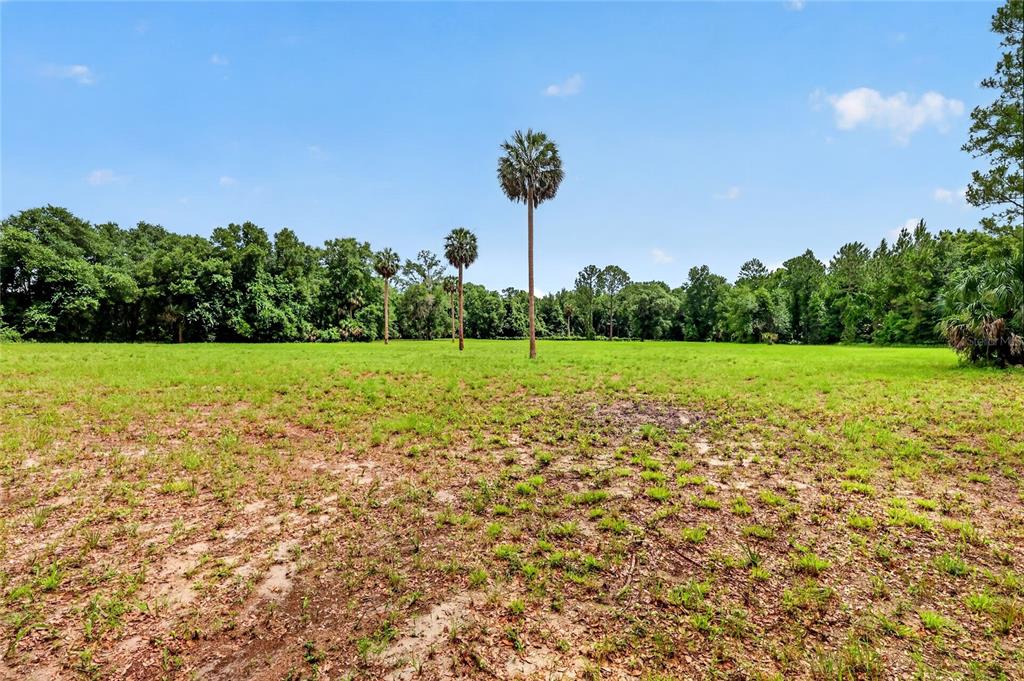 Kilker Road Paisley, FL 32767 - Photo 8 of 15