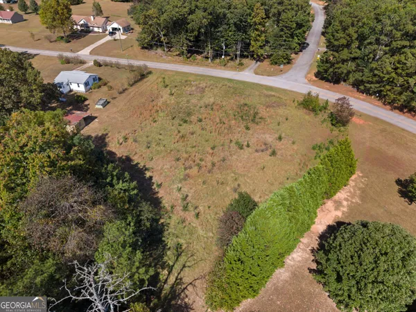 a view of a yard with a tree