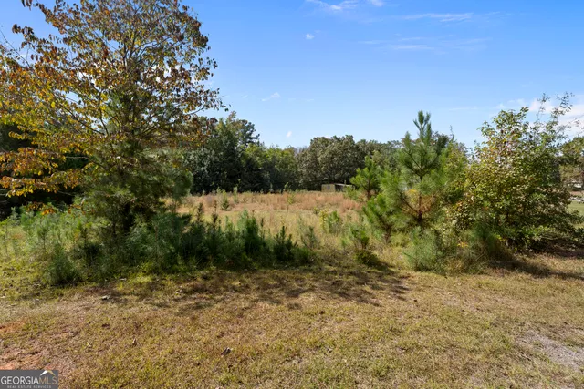 $150,000 | 0 Dodgen Road, Hampton, GA 30228